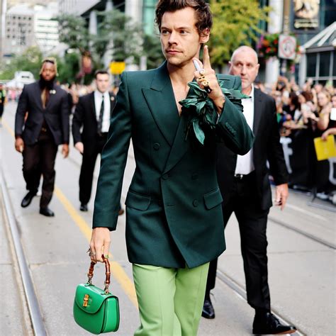 harry styles Gucci trousers